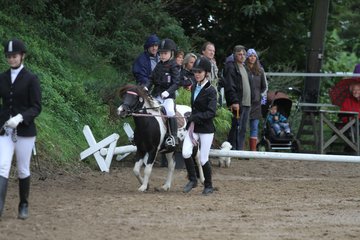 Bild 557 - WBO-Turnier am 18.9.11